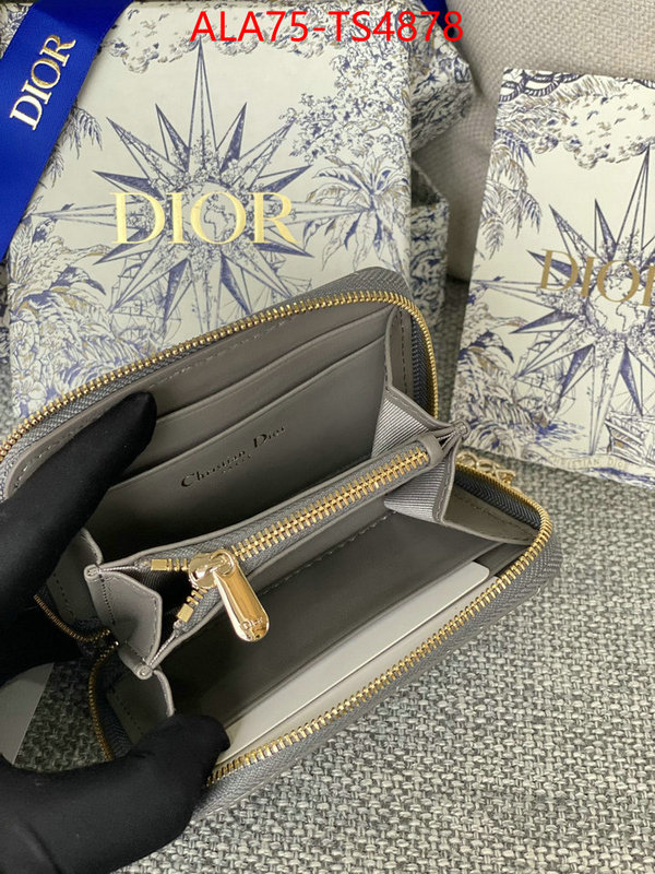 ID: TS4878 $: 75USD,