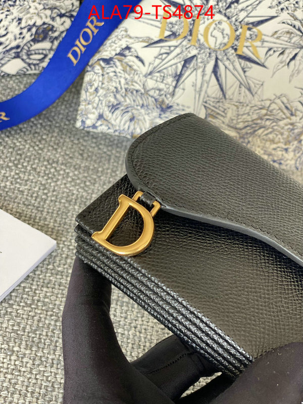 ID: TS4874 $: 79USD,