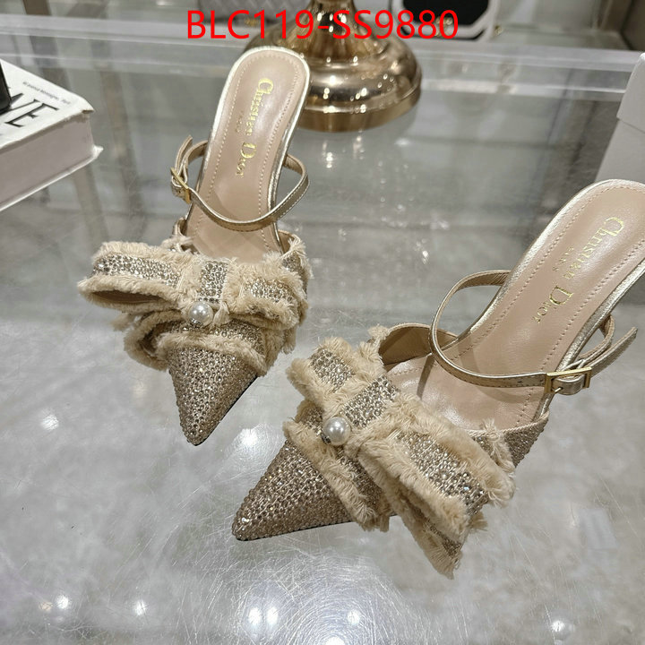 Women Shoes-Dior store ID: SS9880 $: 119USD