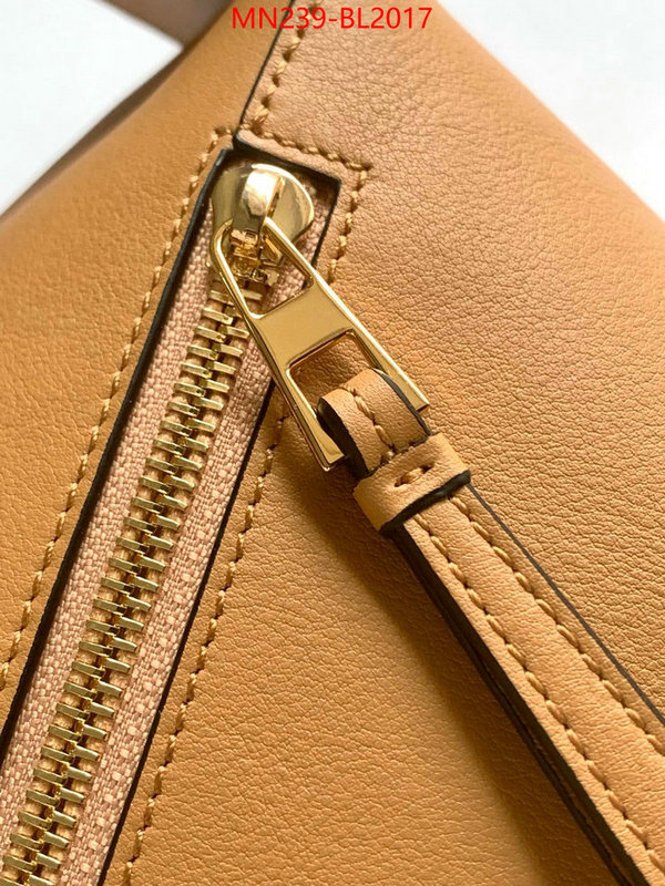 Loewe Bags(TOP)-Handbag- ID: BL2017 $: 239USD,