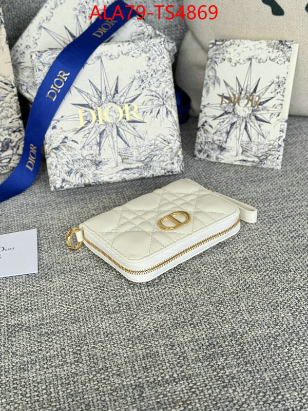 ID: TS4869 $: 79USD,
