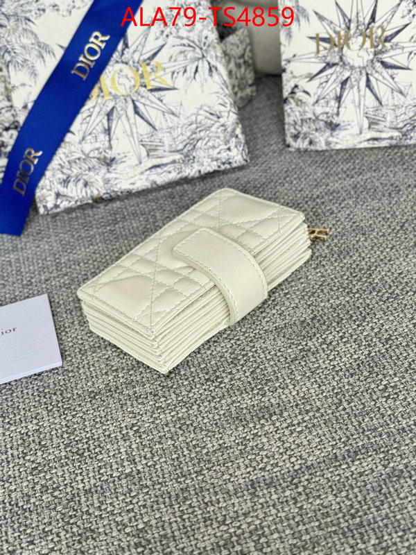 ID: TS4859 $: 79USD,