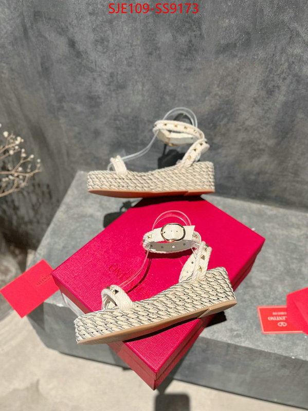 Women Shoes-Valentino buy online ID: SS9173 $: 109USD