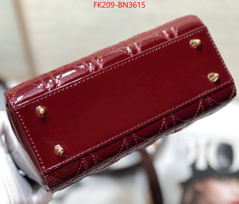 ID: BN3615 $: 209USD,