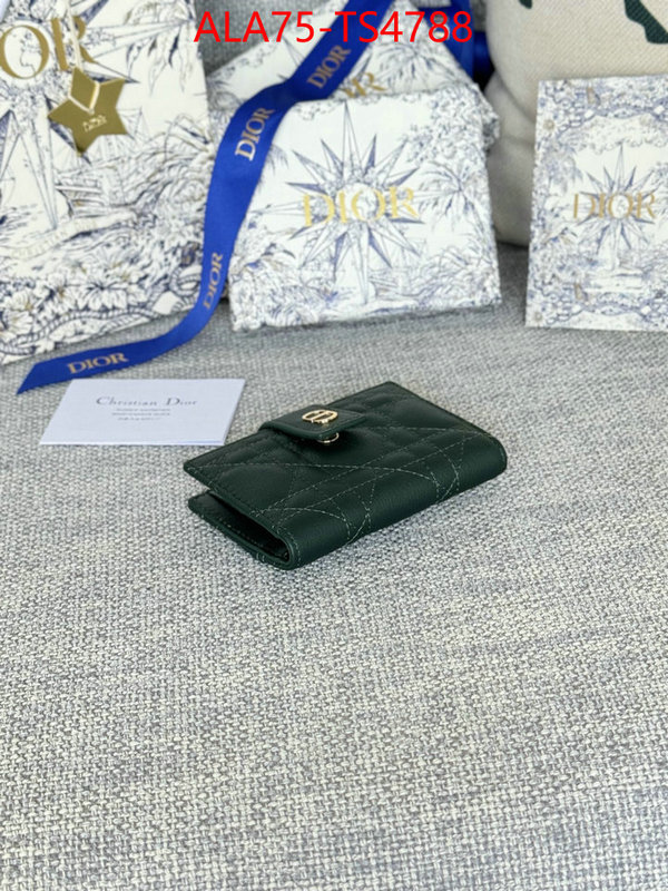 ID: TS4788 $: 75USD,