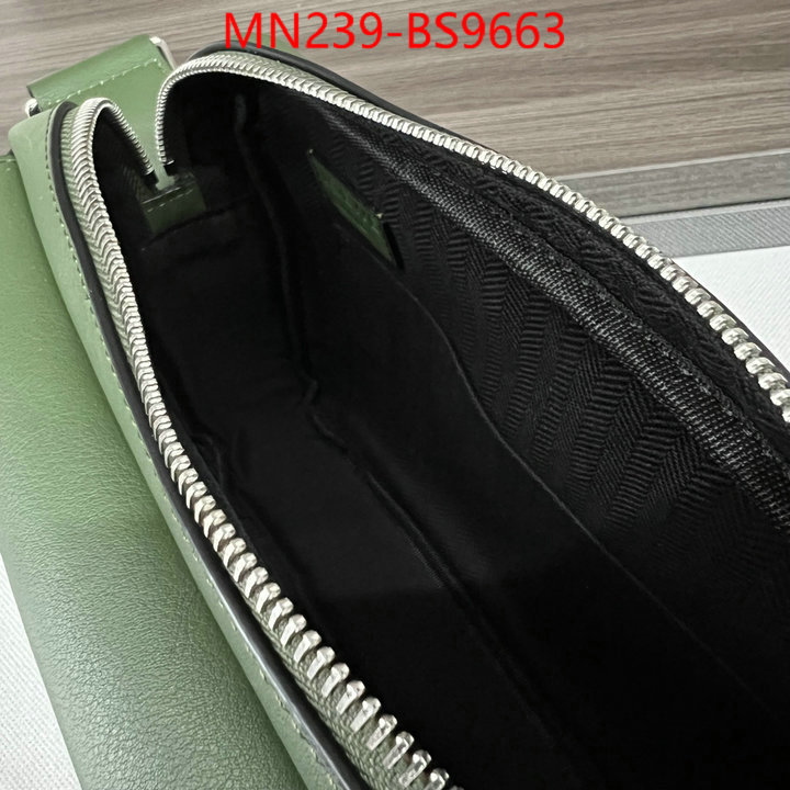 Loewe Bags(TOP)-Crossbody- luxury cheap ID: BS9663 $: 239USD,
