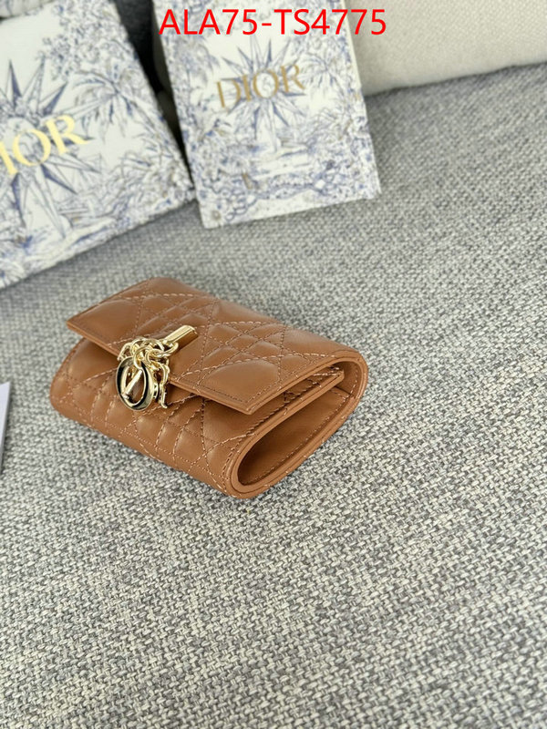 ID: TS4775 $: 75USD,