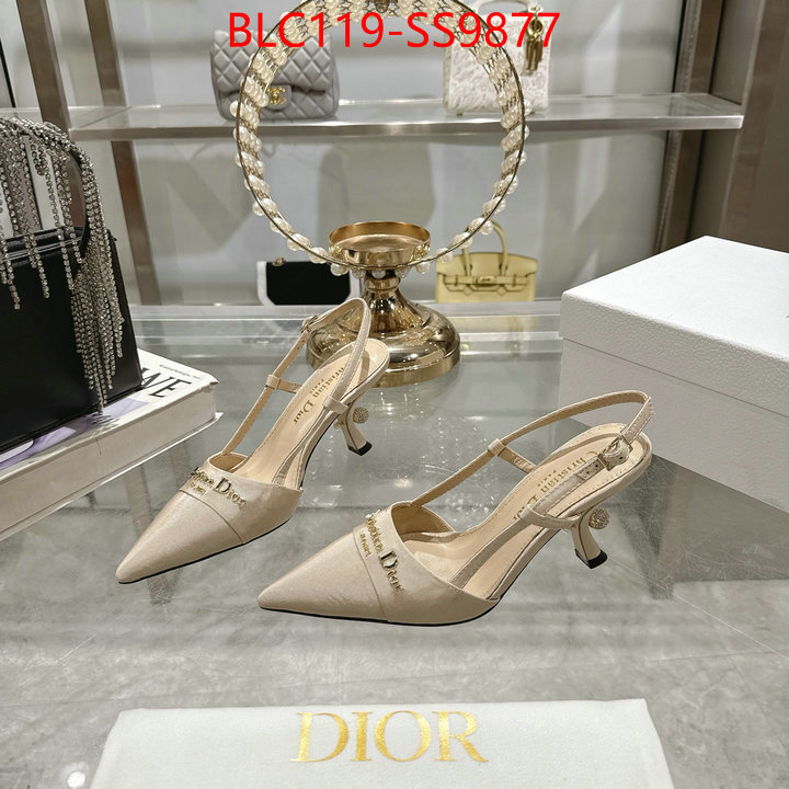 Women Shoes-Dior shop the best high authentic quality replica ID: SS9877 $: 119USD-shoes yupoo Women Shoes-Dior shop the best high authentic quality replica ID: SS9877 $: 119USD
