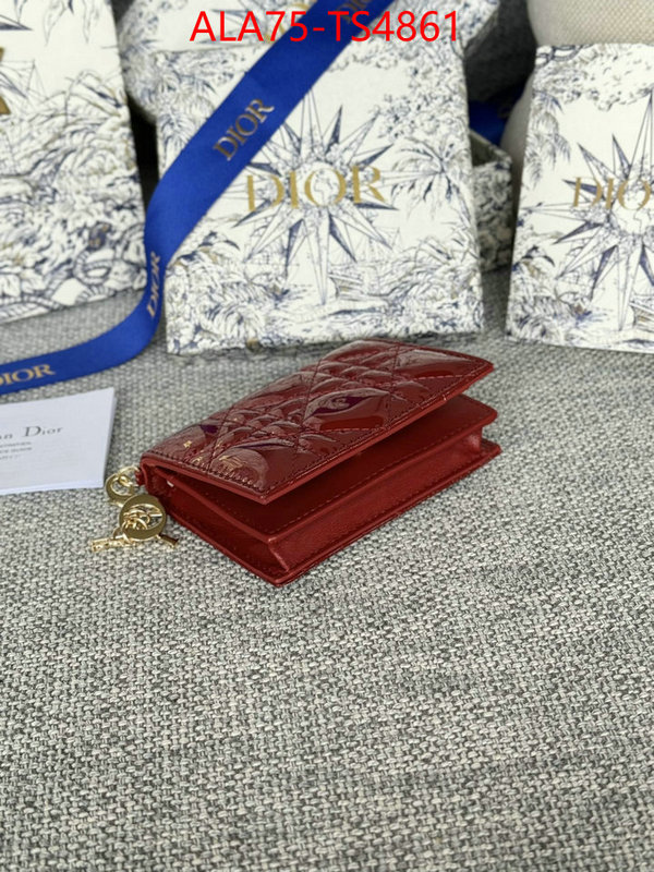 ID: TS4861 $: 75USD,