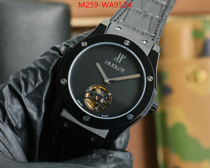 ID: WA9524