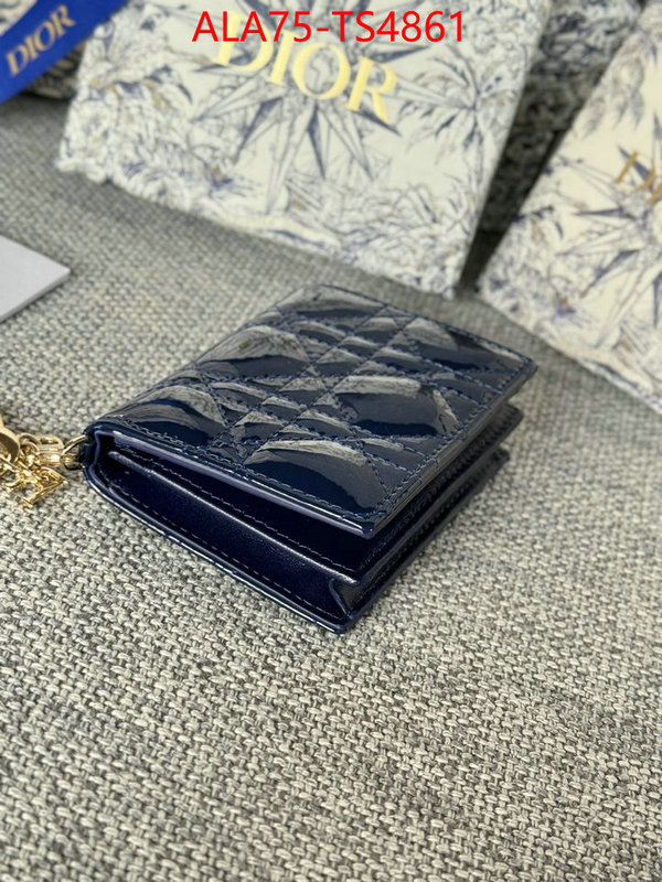 ID: TS4861 $: 75USD,