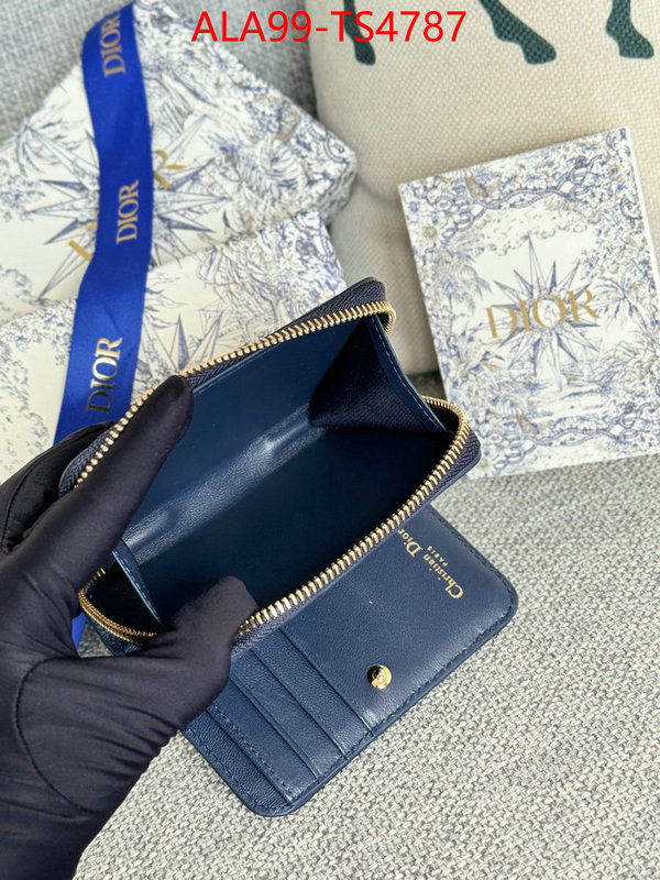 ID: TS4787 $: 99USD,