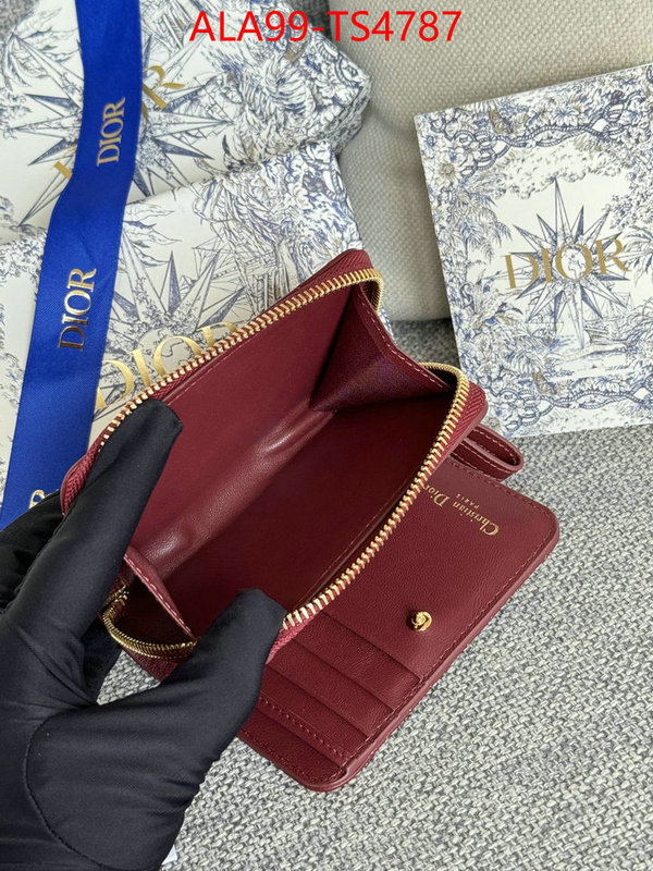 ID: TS4787 $: 99USD,