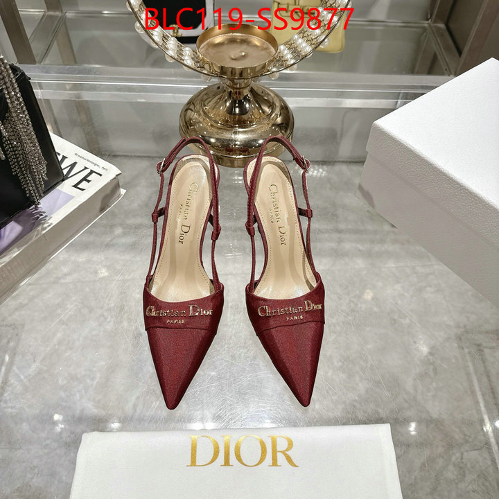 Women Shoes-Dior shop the best high authentic quality replica ID: SS9877 $: 119USD-shoes yupoo Women Shoes-Dior shop the best high authentic quality replica ID: SS9877 $: 119USD