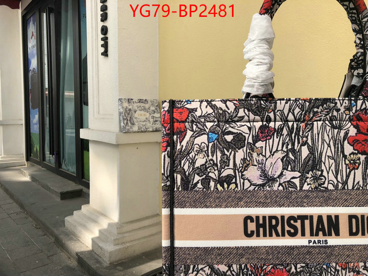 ID: BP2481