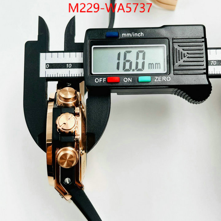 ID: WA5737