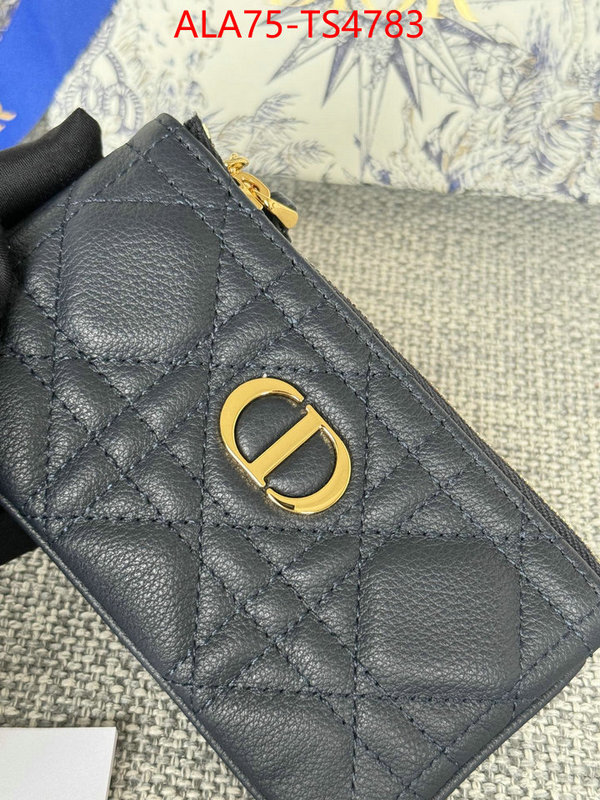 ID: TS4783 $: 75USD,