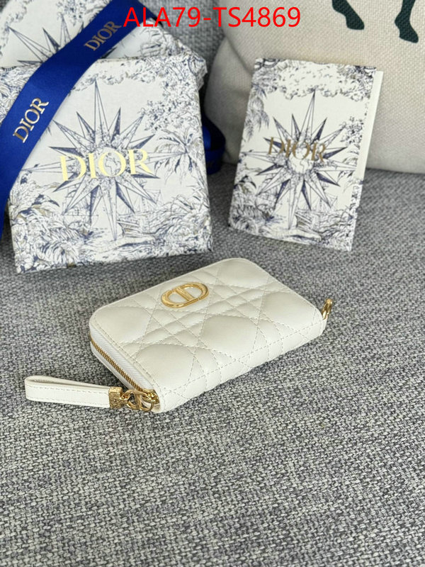 ID: TS4869 $: 79USD,