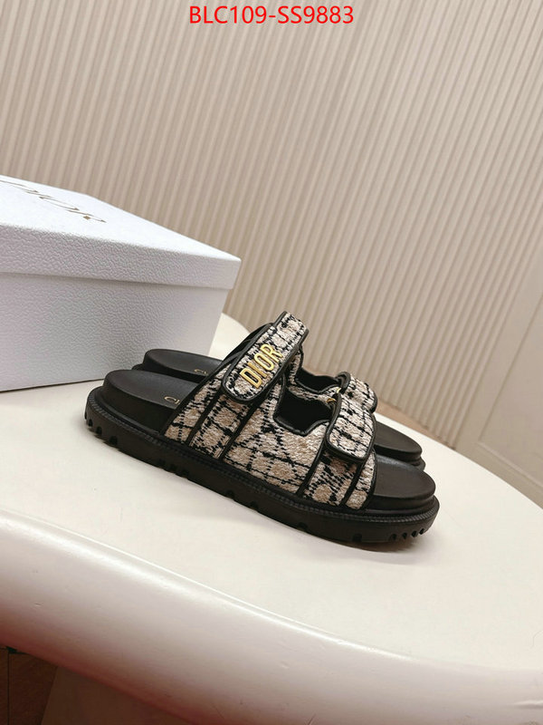 Women Shoes-Dior for sale online ID: SS9883 $: 109USD