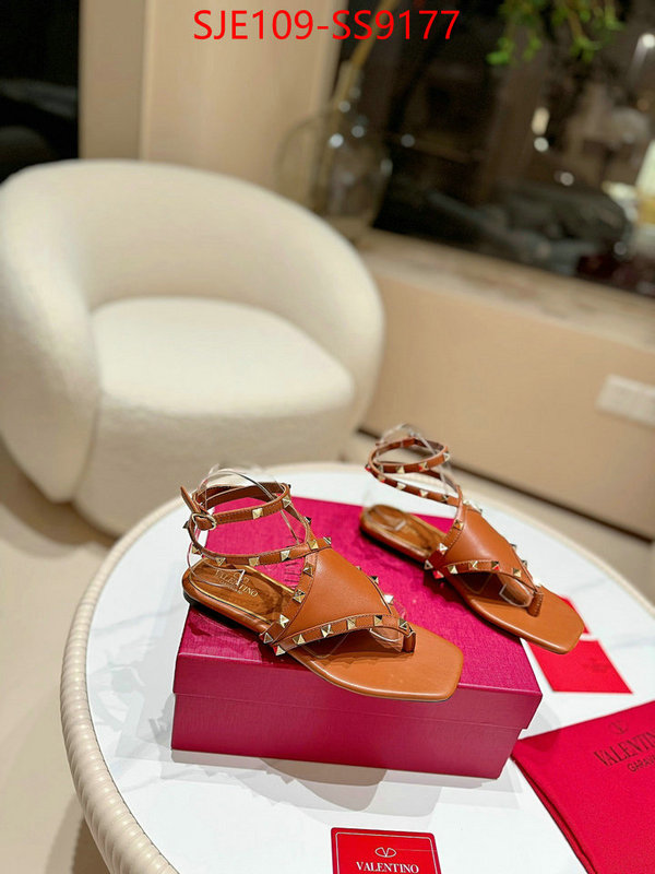 Women Shoes-Valentino buy online ID: SS9177 $: 109USD
