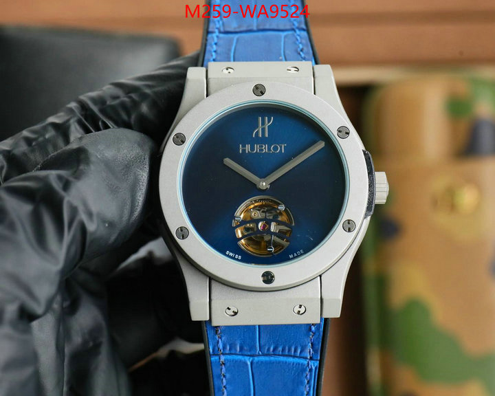 ID: WA9524