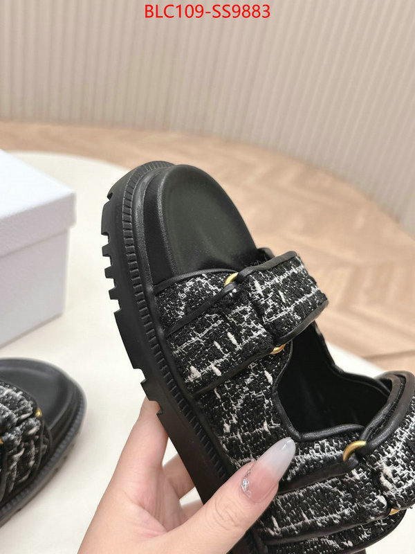 Women Shoes-Dior for sale online ID: SS9883 $: 109USD