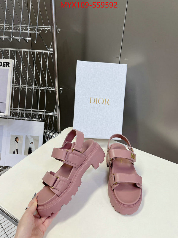 Women Shoes-Dior fashion designer ID: SS9592 $: 109USD