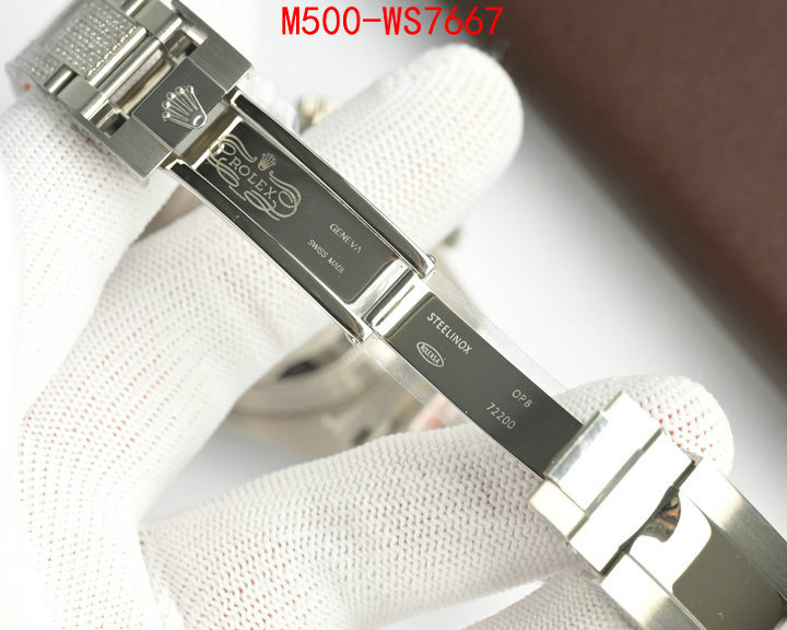 ID: WS7667
