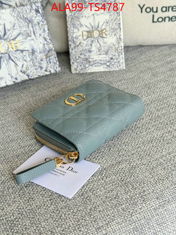 ID: TS4787 $: 99USD,
