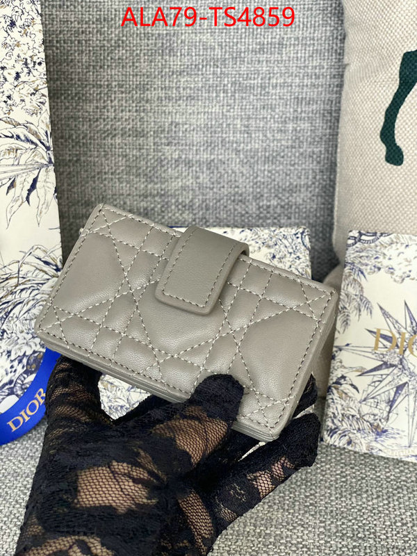 ID: TS4859 $: 79USD,