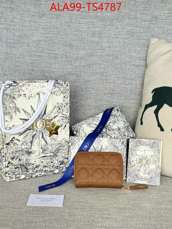ID: TS4787 $: 99USD,