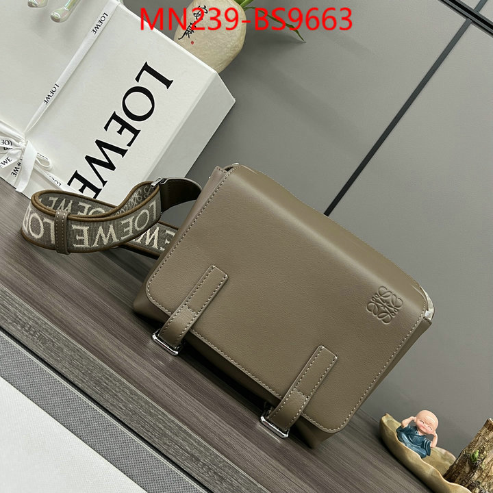 Loewe Bags(TOP)-Crossbody- luxury cheap ID: BS9663 $: 239USD,
