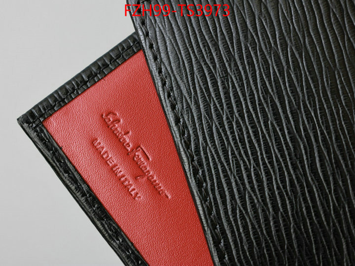 ID: TS3973 $: 99USD,