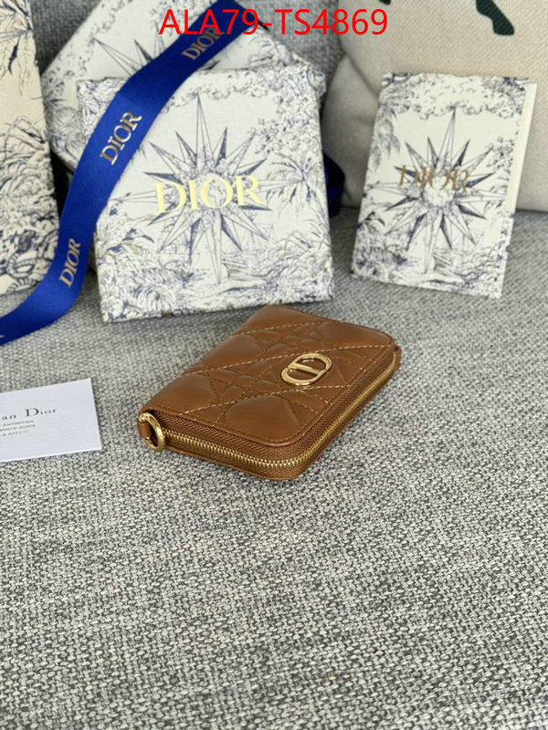 ID: TS4869 $: 79USD,