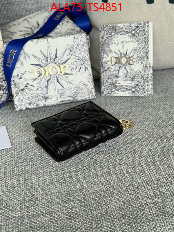 ID: TS4851 $: 75USD,
