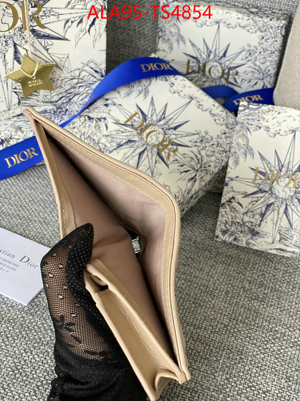 ID: TS4854 $: 95USD,