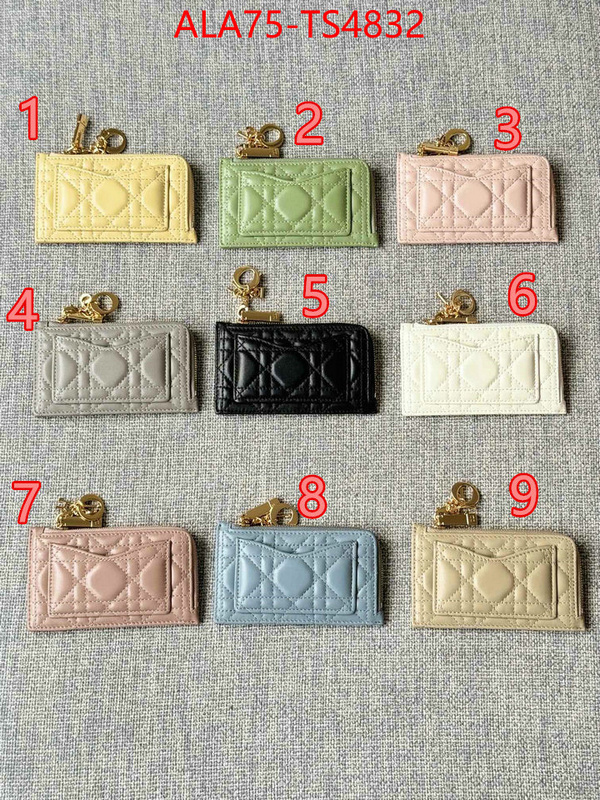 ID: TS4832 $: 75USD,