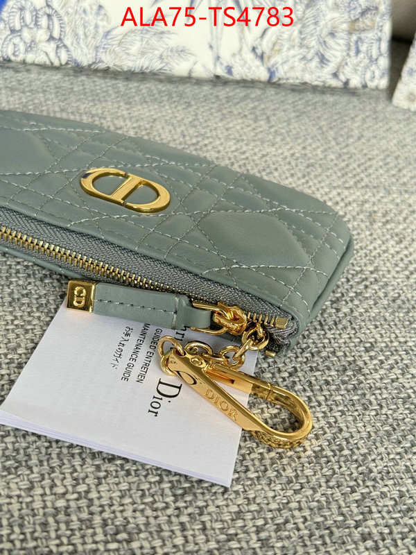 ID: TS4783 $: 75USD,