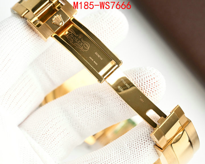 ID: WS7666