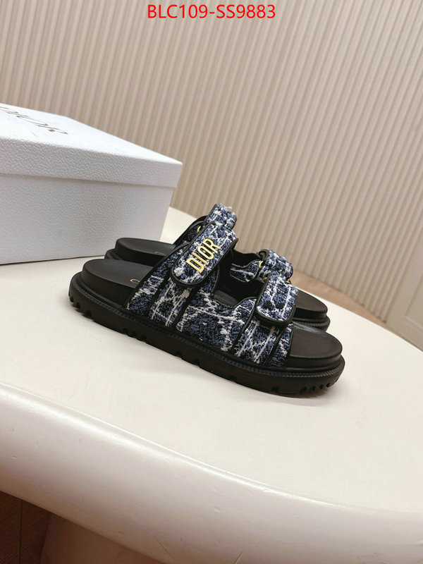 Women Shoes-Dior for sale online ID: SS9883 $: 109USD