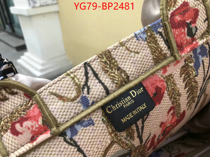 ID: BP2481