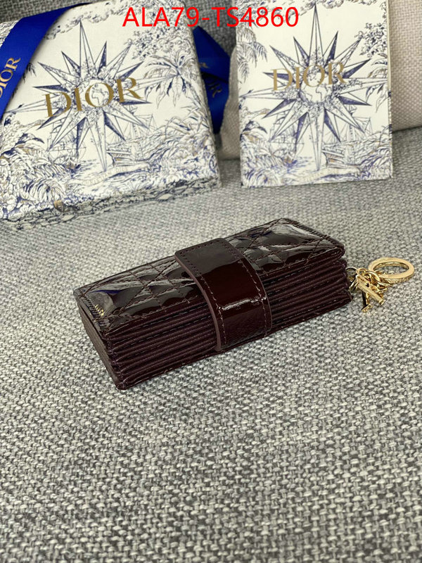 ID: TS4860 $: 79USD,