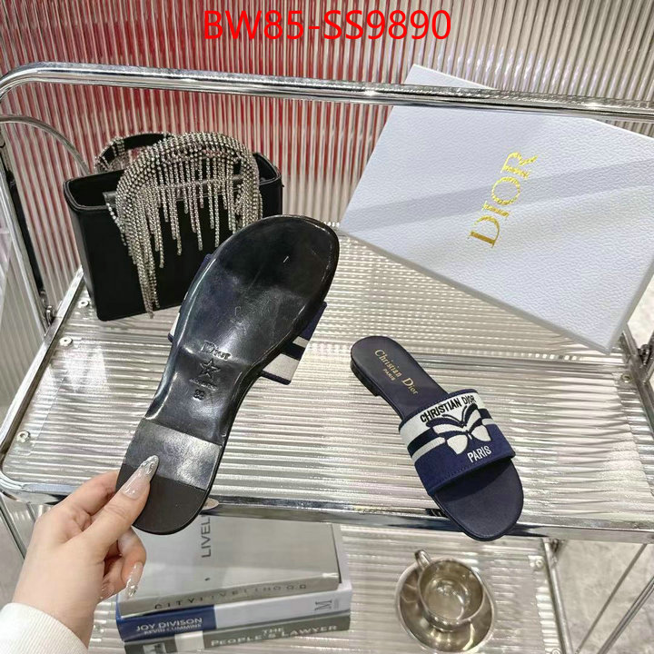 Women Shoes-Dior sell online ID: SS9890 $: 85USD