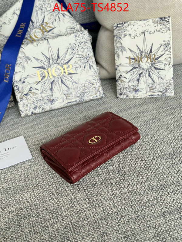 ID: TS4852 $: 75USD,