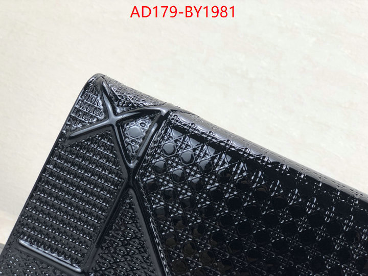 ID: BY1981 $: 179USD,