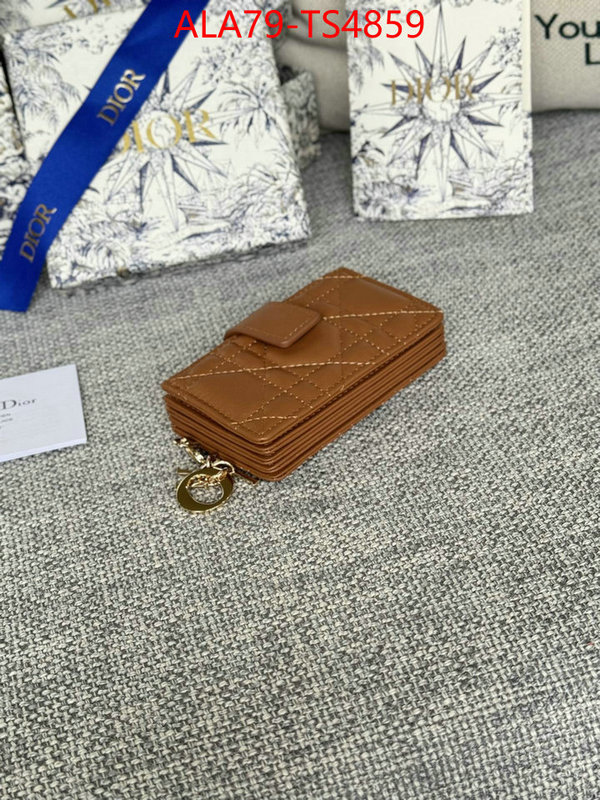 ID: TS4859 $: 79USD,