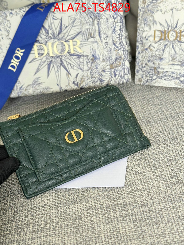 ID: TS4829 $: 75USD,