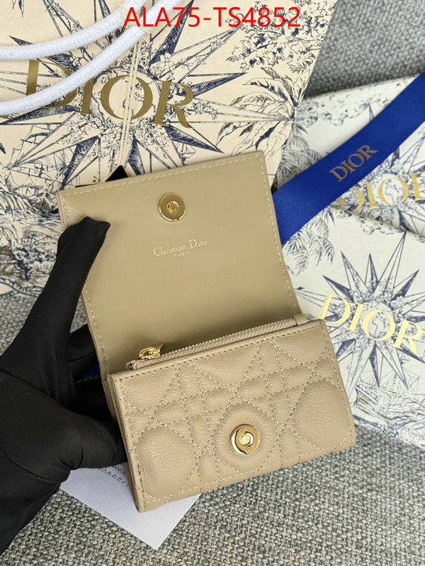 ID: TS4852 $: 75USD,