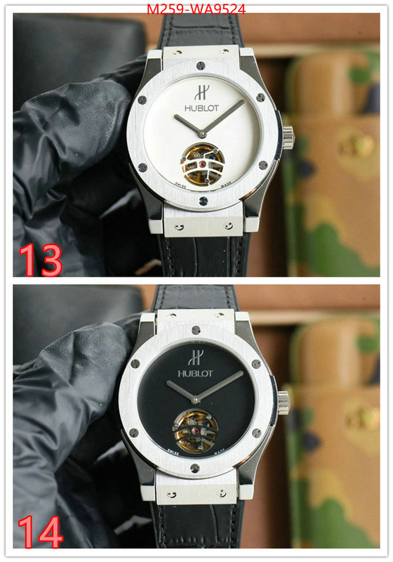 ID: WA9524