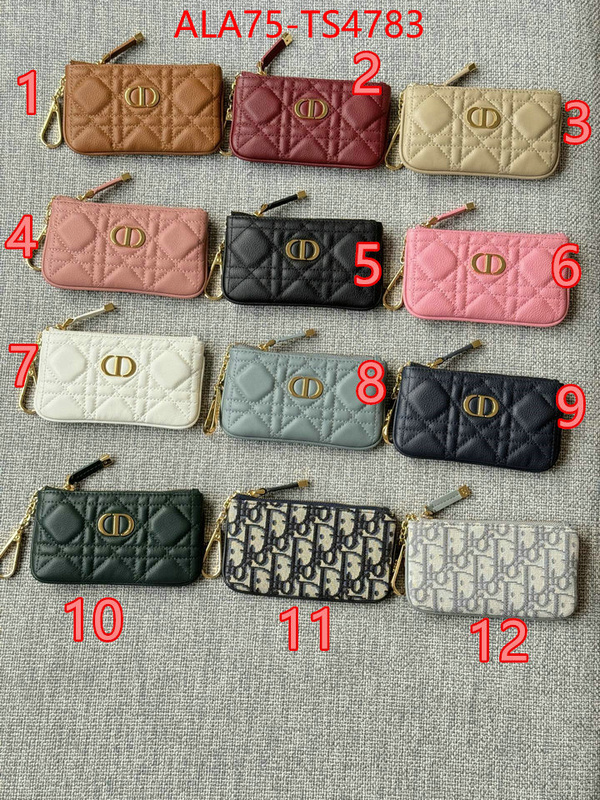 ID: TS4783 $: 75USD,
